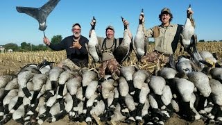 Extended version of the best Canada goose hunt