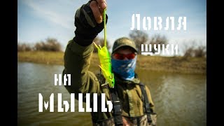 Ловля щуки на термоядерную мышь от Savage Gear