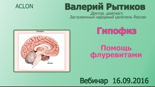 Гипофиз, гипоталамус и эпифиз. Роль Флуревитов