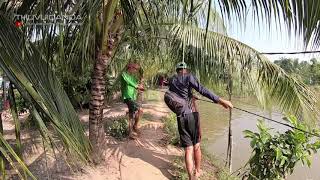 Cách Bà Con Miền Tây Kéo Lưới Khổng Lồ Hàng Trăm Tấn Cá Bán Tết l Big Net Fishing