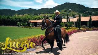 EXPOMALOCAS 2020 FERIA EQUINA GRADO "A" - DIA 3 - TROCHA COLOMBIANA