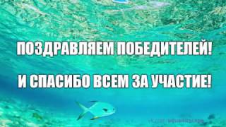 Розыгрыш аквариумных подарков от 25 февраля 2017