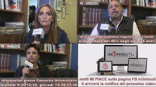 Corso di laurea triennale in mediazione linguistica e culturale, L-12.