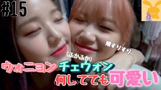 【IZONE/日本語字幕】ウォニョン?チェウォン? 何してても可愛い?頬すりすり！にやけ止まらない‼️