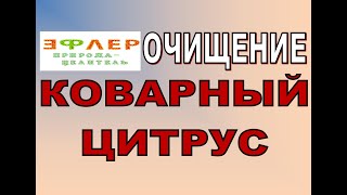 О45 - КОВАРНЫЙ ЦИТРУС. Он хотел как лучше. Но людям не нравится очищаться.