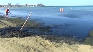 Анапа. 2 августа 2018г.  Оздоравливаемся водорослями, дышим сероводородом!!!