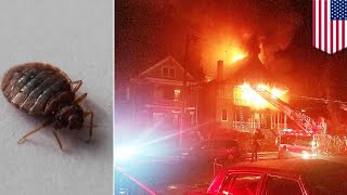 How NOT to get rid of bed bugs: Woman's extermination attempt results in 5-home blaze - TomoNews
