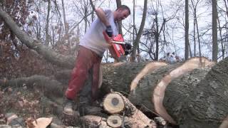 Бензопила Husqvarna 372XP