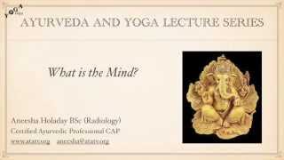 What is the Mind?