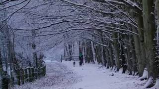 Srekna Nova Godina - Novogodisna pesna