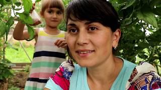 Спасаем оставшийся урожай ЖИЗНЬ В ДЕРЕВНЕ
