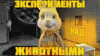 Нужны ли опыты на животных?