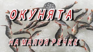 ТРУДОВОЙ ОКУНЬ САМЫЙ ЛУЧШИЙ! Рыбалка на окуня, ловля на мормышку