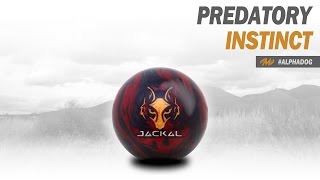 MOTIV Jackal Video Bowling Ball Review