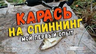 Карась на спиннинг. Мой первый опыт ловли карася на мормышку