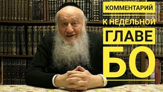 Комментарий к Торе. Недельная глава Бо - раввин Элиягу Эссас