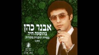 אבנר כהן  איילת חן