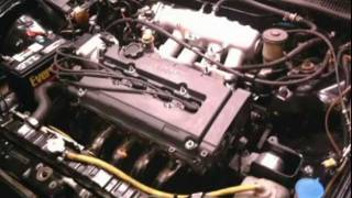 LS VTEC CRX
