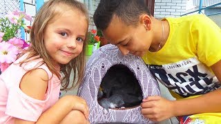Кошка родила котят Покупаем ДОМИК играем с котятами Funny Cats and Kittens Распаковка ЛОЛ сюрприза