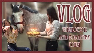 VLOG✨ Эквирос 2018 и День Рождения Гоши