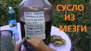 ОТДЕЛЯЕМ СУСЛО из МЕЗГИ