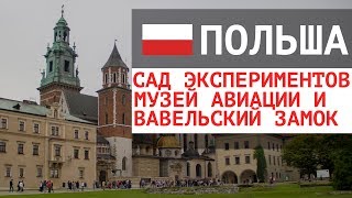 Краков: сад опытов, музей авиации и Вавельский замок с пещерой дракона