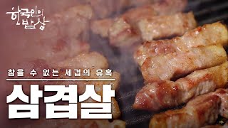 [한국인의 밥상] *풀영상* 삼겹살, 참을 수 없는 세겹의 즐거움♡