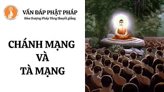 Chánh mạng và Tà mạng - Hòa thượng Pháp Tông thuyết giảng