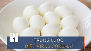 Triệu tập người tung tin "trứng luộc diệt virus Corona" | VTC1