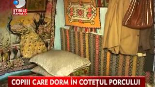 Si-a trimis nepotii sa doarma in cotetul porcului