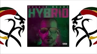 Collie Buddz Ft Stonebwoy - Bounce It (Album 2019 "Hybrid" )