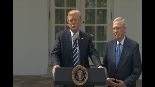 President Donald Trump, Sen. Mitch McConnell deliver statement from the Rose Garden