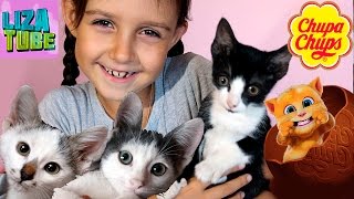 Смешные КОТЯТА и Лиза ищут сюрпризы ГОВОРЯЩИЙ ТОМ и передают ПРИВЕТЫ - LizaTube