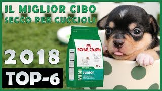 Il Miglior ? Cibo Secco Per Cuccioli ? TOP-6 ?