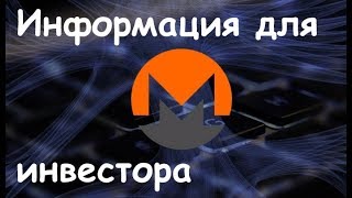 Полная информация для инвестора - монета Monero