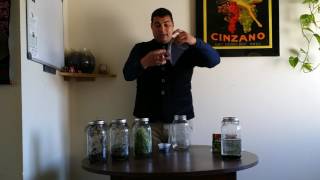 Cómo Germinar Semillas de Cebolla en casa