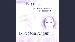 Telemann Canonic Sonata 3 Allegro assai