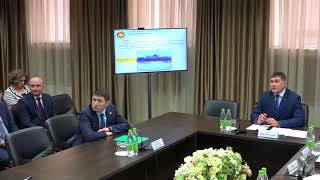 Пестрецы