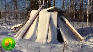 Родовое поместье зимой, зимовка пчёл в колодах. Январь 2018.