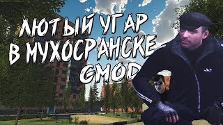 ЛЮТЫЙ УГАР В МУХОСРАНСКЕ [GMOD - DARKRP - НАРЕЗКА СО СТРИМА]