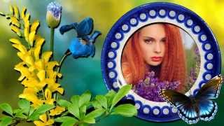 Летний стиль для Proshow Producer 3. Бесплатно