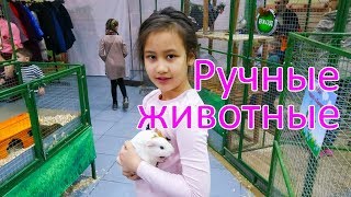КОНТАКТНЫЙ ЗООПАРК