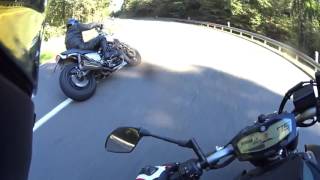 Chasing a bigger brother / MT-07 vs. Vmax / and catching bugs...