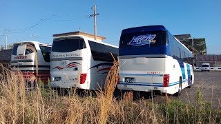 観光バス 乗務員宿 白波荘の朝 其の2 鹿児島県指宿市摺ヶ浜