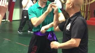 Grandmaster Henry Sue teaching Beginner Level Circular Tong Long Kung Fu