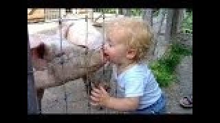 Топ,Новые Приколы 2015 Угарные Моменты Улётное Видео Выпуск №58