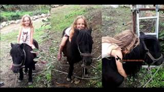 Save the ponies from the butcher