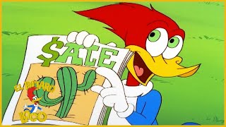 El Pajaro Loco en Español | 1 Hora de Compilación | Dibujos Animados en Español