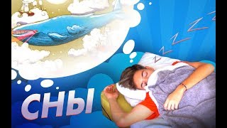 СНЫ