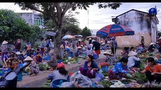 Khám Phá Chợ Phóng Sanh Thành Phố Cao Lãnh Du Lịch Đồng Tháp HQV